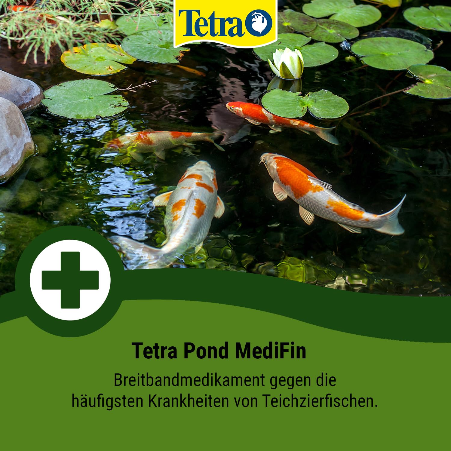 Tetra Pond MediFin - Medikament für Teichfische gegen die häufigsten Krankheiten, auch zur Vorbeugung und Desinfektion, 3 L
