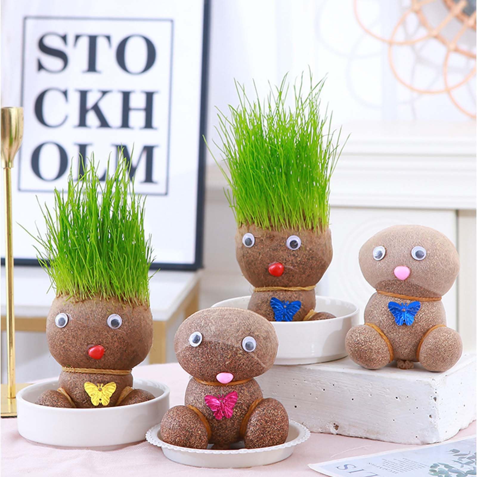 Tête d'herbe, tête de fleurs, tête d'herbe, plante de poupée, plante de poupée pour enfants, mini bonsaï herbe, tête de fleur, tête d'herbe, bonsaï, avec plateau, plantes en pot pour chambre
