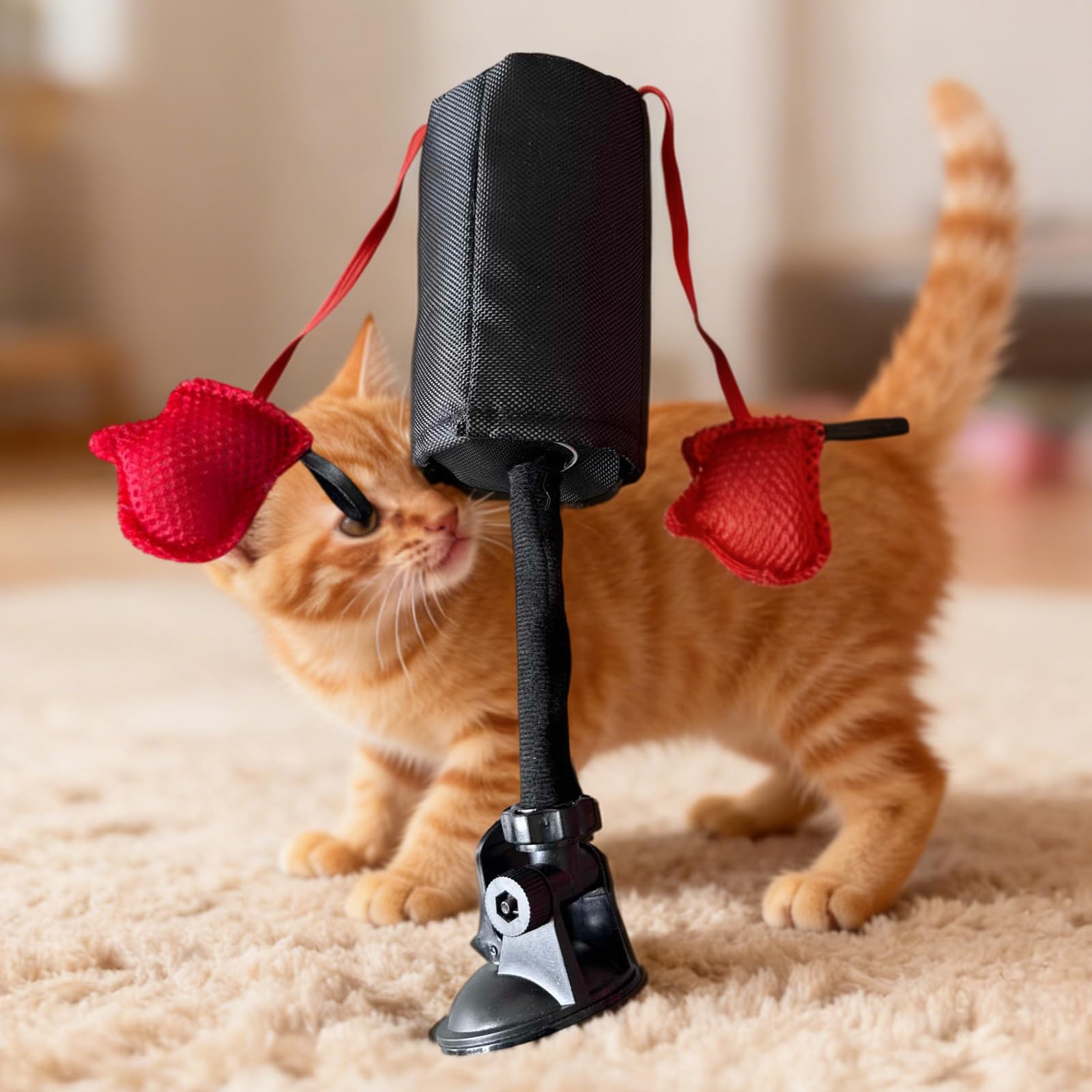 ELRK Katzen Boxsack Spielzeug - Interaktives Boxen Katzenspielzeug Mit Handschuhen, Multifunktions Katzen BoxSack Spiel Für Haus, Wohnung, Arbeits Ansicht 3