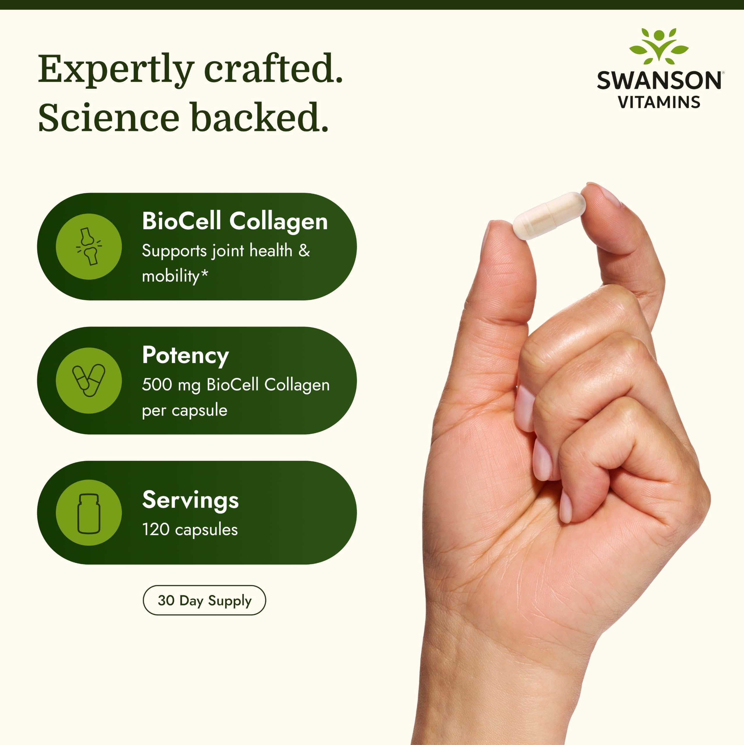Swanson Chicken Sternum Cartilage, Collagen Type II 500 mg, 120 Capsules — Amazon image 3