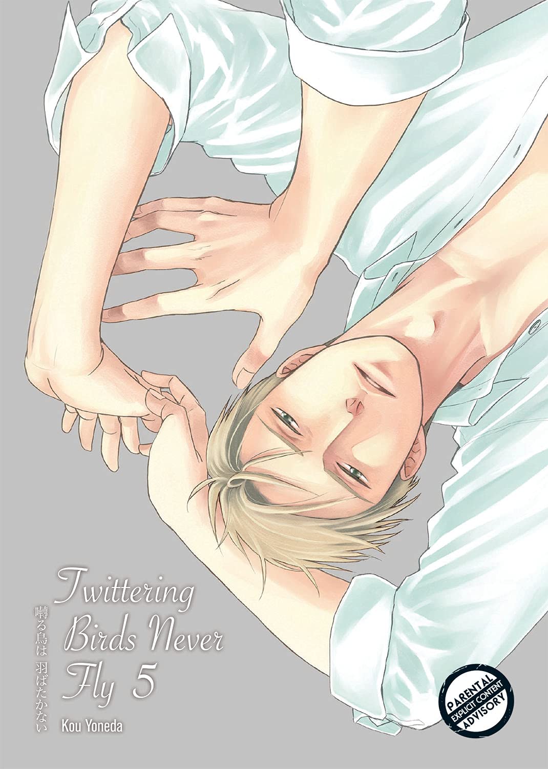 Twittering Birds Never Fly vol 5: A Novel of Love, War, and Witchcraft in 19th Century East Africa