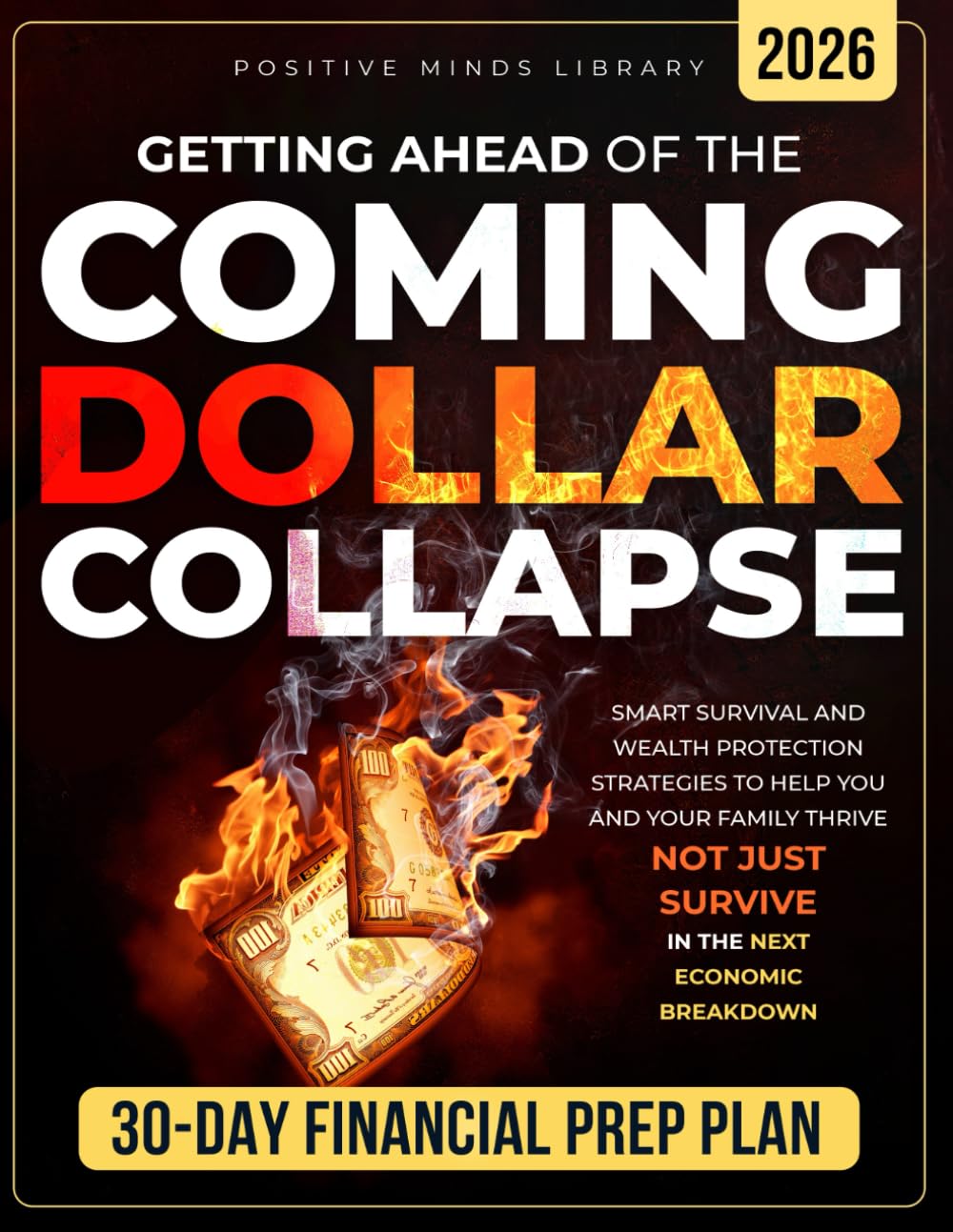 Getting Ahead of The Coming Dollar Collapse: Smart Survival and Wealth Protection Strategies to Help You and Your Family Thrive — Not Just Survive — in the Next Economic Breakdown