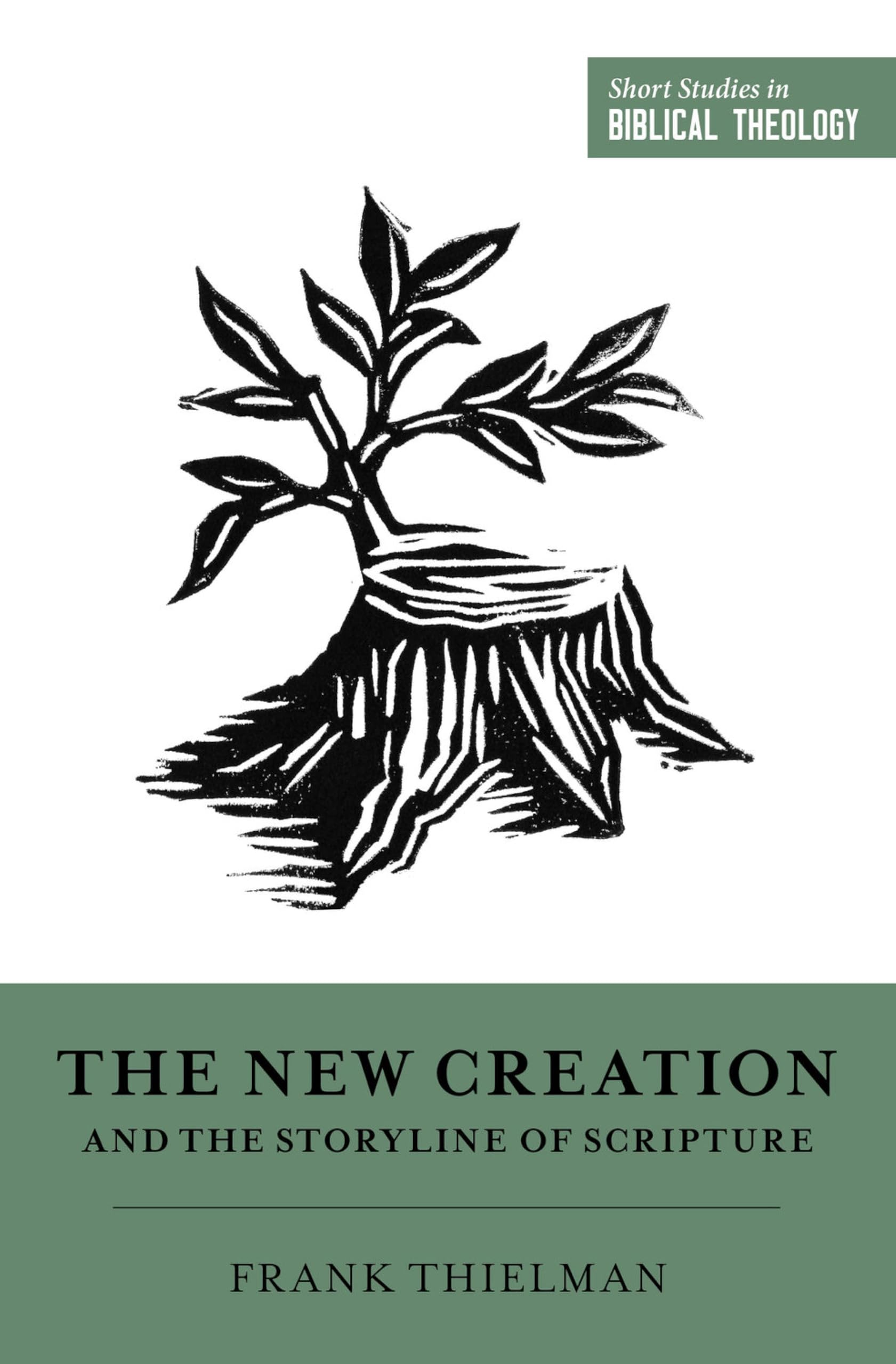 Crossway Buch: The New Creation and the Storyline of Scripture