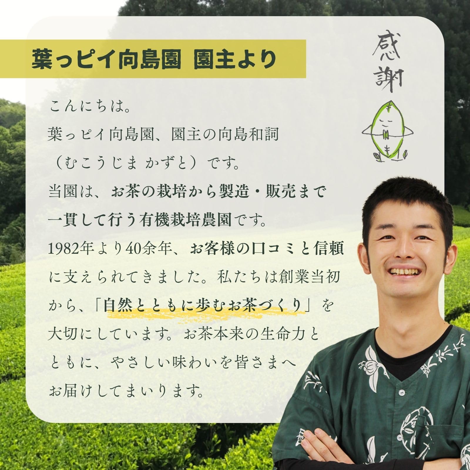 Amazon.co.jp: 葉っピイ向島園 国産 有機栽培茶 三年番茶 残留農薬検査