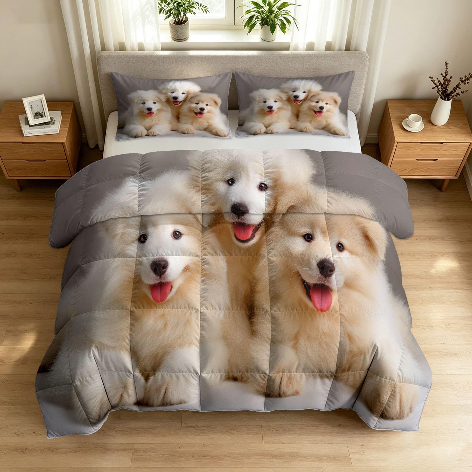 Couette Réversible Chien Samoyède Animal de Compagnie pour Lit 2 Personnes Couette sans Housse Mignon pour Enfants Lavable en Machine avec Taies d'oreiller pour Toutes Saisons, Gris, 200 x 200 cm