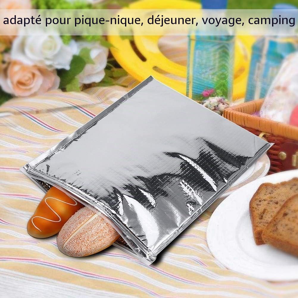 DEWIN Lot de 5 sacs alimentaires isothermes en aluminium pour pique-nique, déjeuner, voyage, camping, extérieur (25 x 30 cm), 25 x 30 cm., Moderne