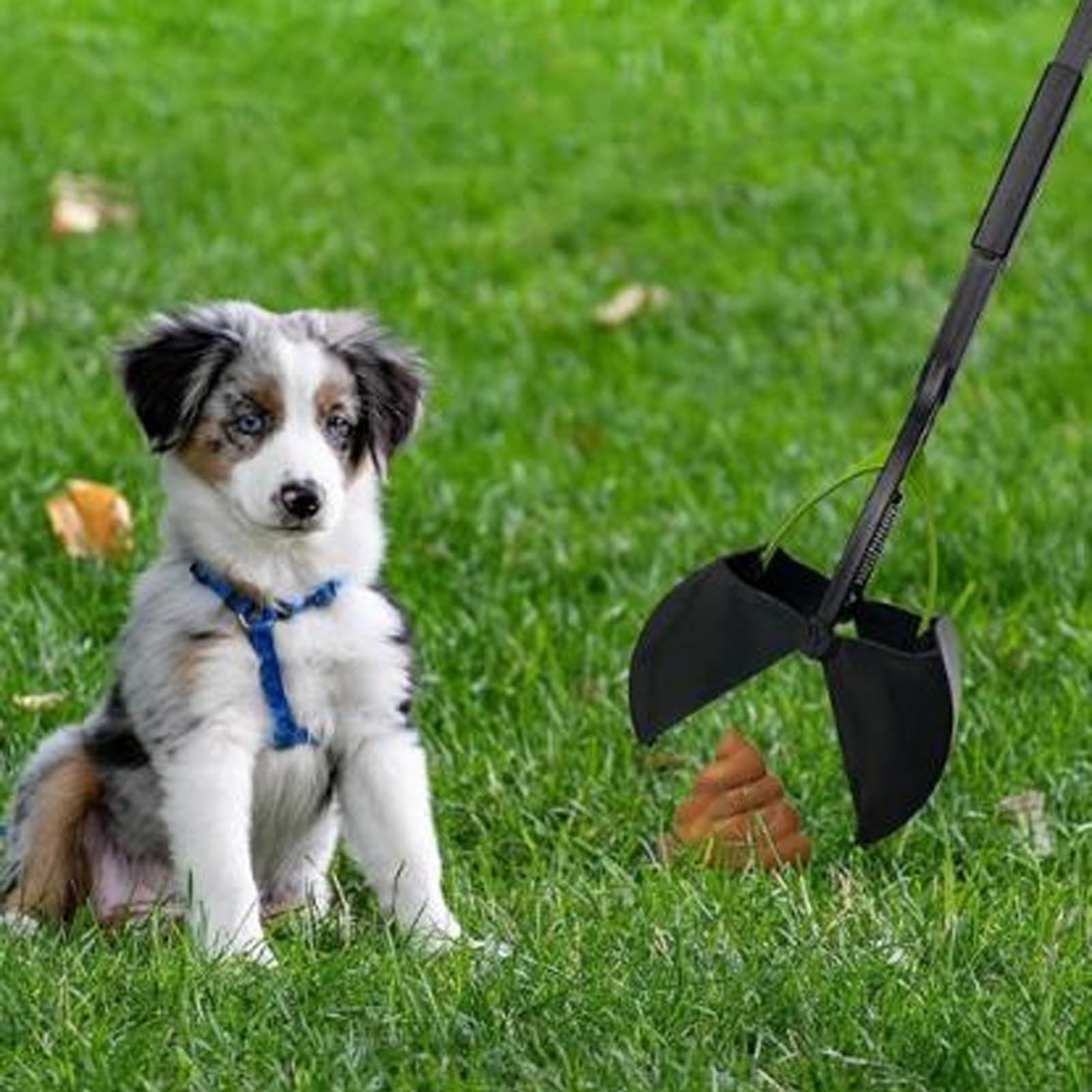 Ramasse-crottes Pliable pour Chien, Pelle à crottes à Long Manche, Pelle Polyvalente de Grande capacité pour Animaux de Compagnie, Facile à ramasser pour l'herbe et Le Gravier