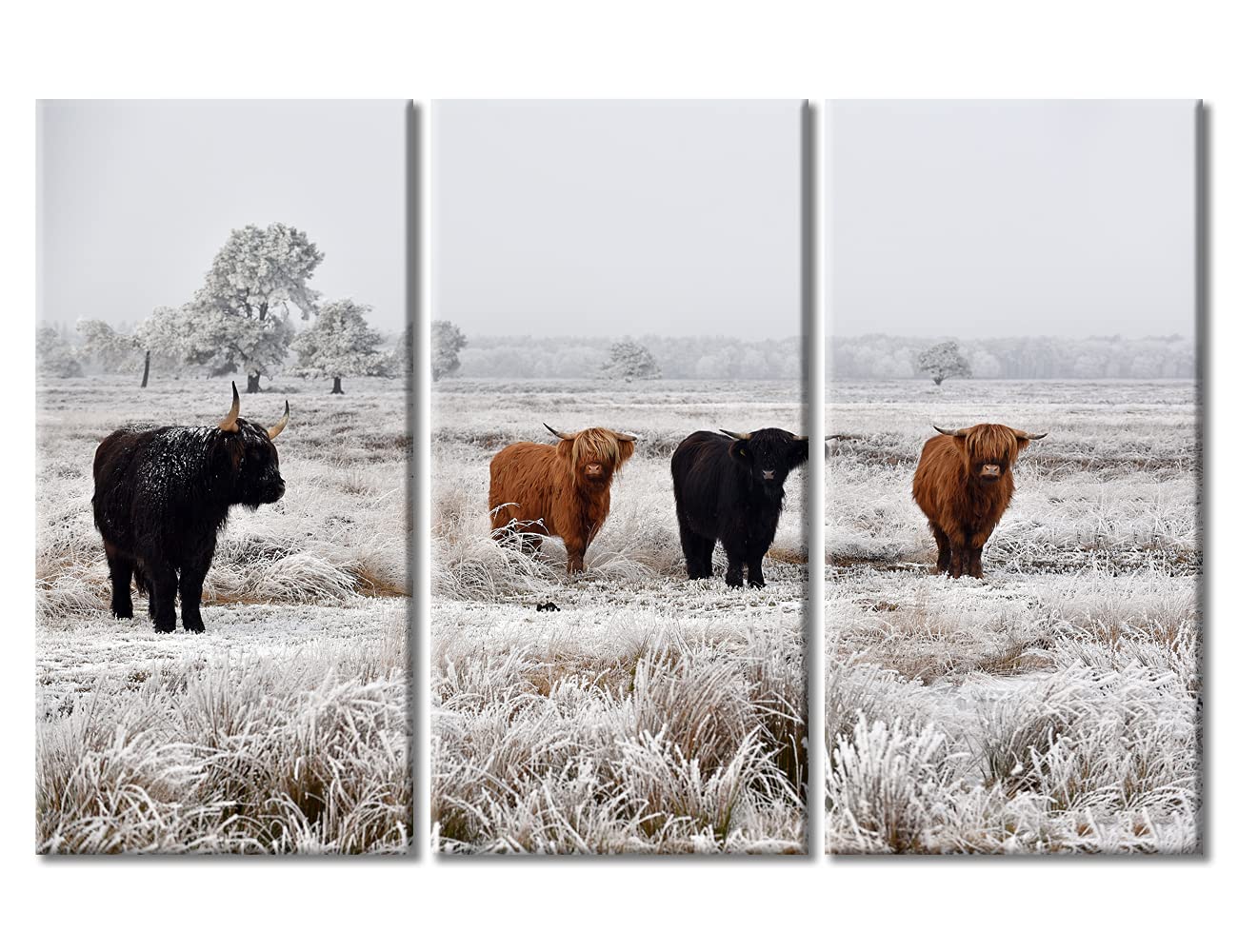 National Park Picture for Living Room Black and Brown Hairy Scottish Highland Cattle Wall Art Natural Landscape Painting Artwork 3 Panel Prints on Canvas Modern Home Decor Ready to Hang, 60"Wx40"H