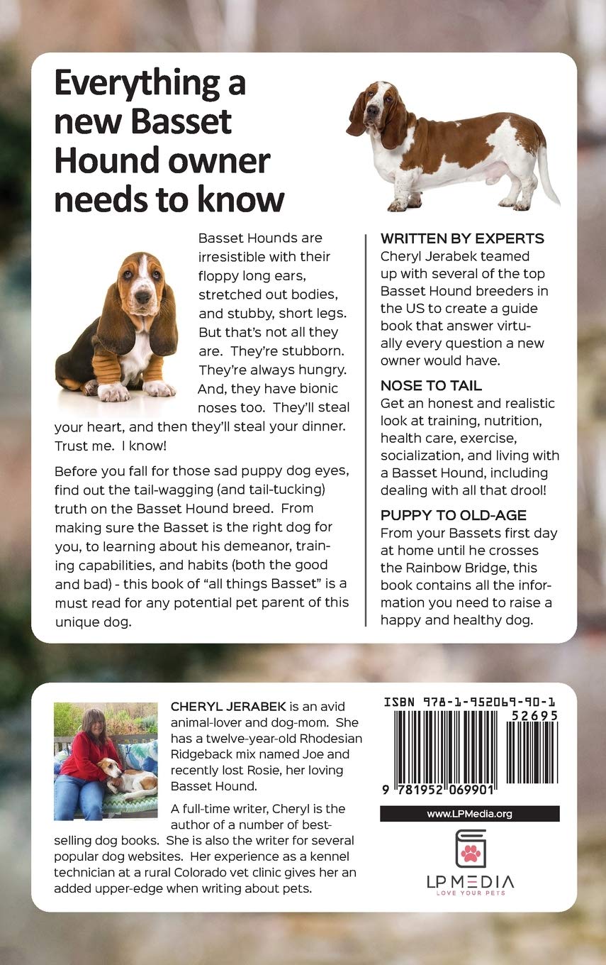 Are Basset Hounds Good First Dogs