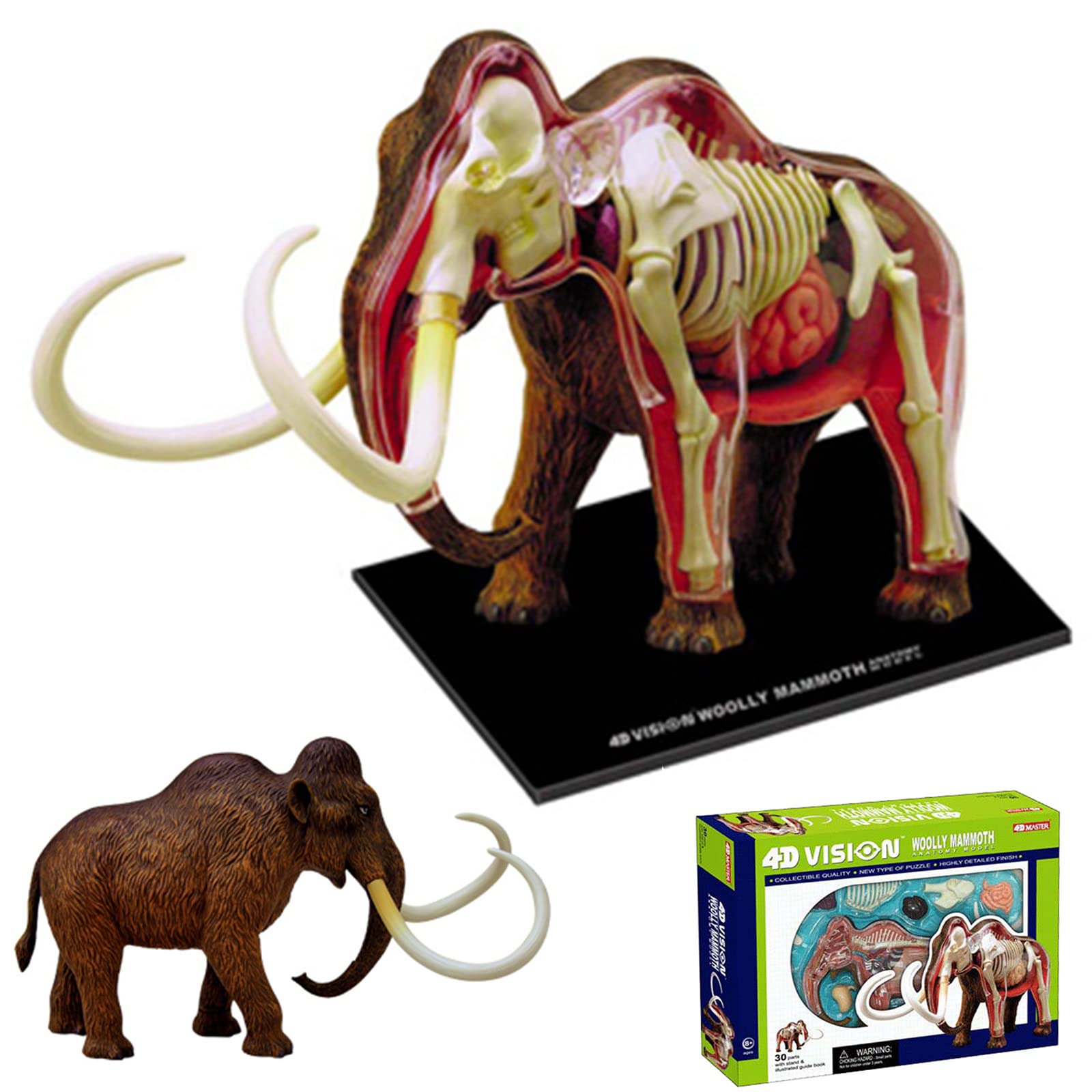 Mammoth Puzzle Assembly Toy Animal Organs Anatomical Models, 4D Vision  Organ Anatomy Kits, 30 Parts Demountable Structures, for Biology Education  Aids