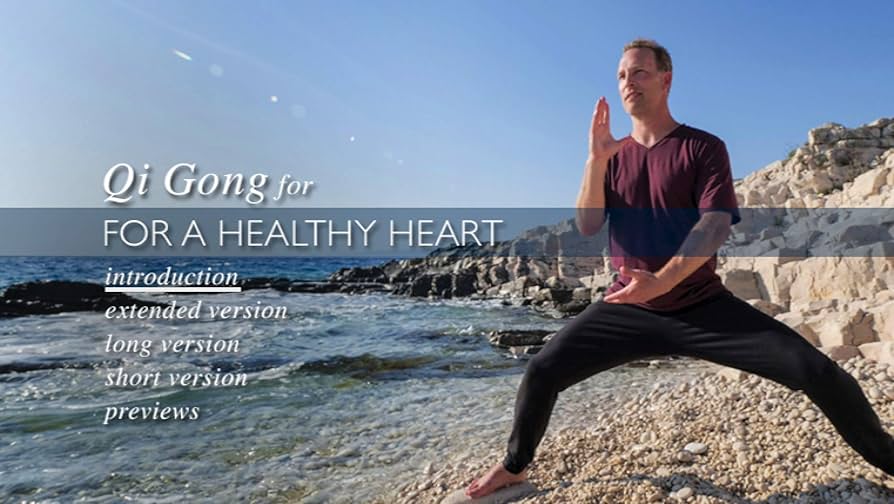 Hug healing treatment® vol.3 DVD Healing Exercise Sitting Tai Chi Video by Tommy Kirchhoff