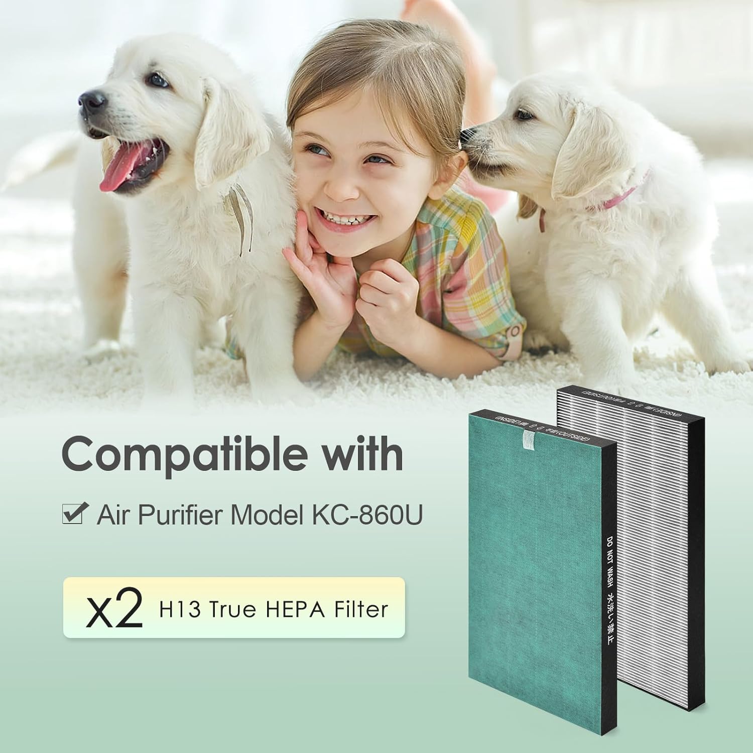 Filter Compatible with Sharp KC-860U Air Purifier, H13 True HEPA Filter, Compared to Part # FZ-C150HFU, 2-Pack