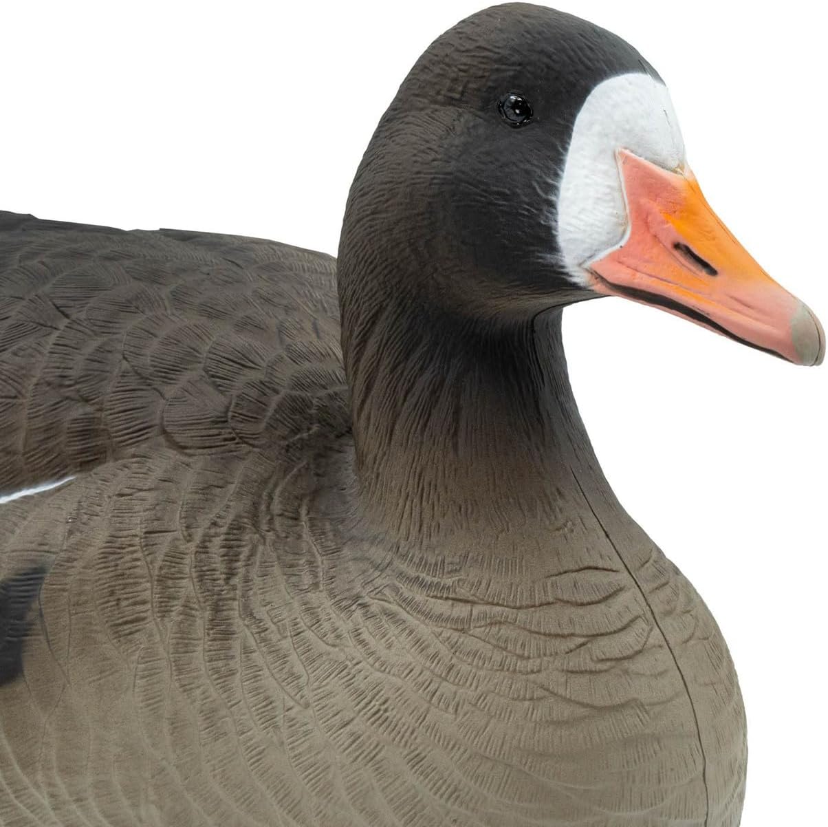 MYDUD Last Pass Specklebelly Goose Floating Decoys, 6 Pack