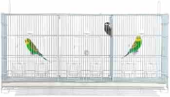 トリプルスクエアタイプ　鳥カゴ Amazon | CAGE ONE 鳥かご トリプル 3部屋 スクエアタイプ