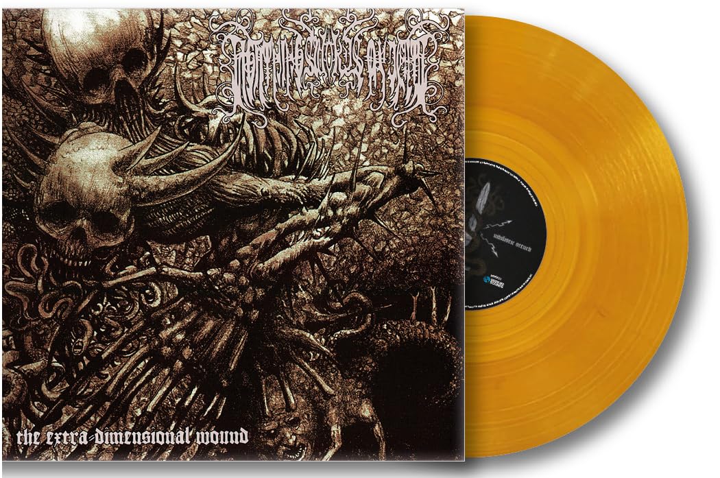 The Extra Dimensional Wound [VINYL]