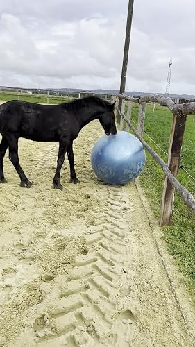 Maximus Power Play Ball | Chevaux | Sur Maximus Power Play Ball | Chevaux | Sur