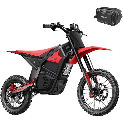 IN10 Electric Dirt Bike for Teens Adults, 2600W Mid-Drive Motor and 40MPH Electric Motorcycle with 48V/23AH Battery Ebike, Full Suspensions Mountain Off-Road E Bike, Hydraulic Brakes