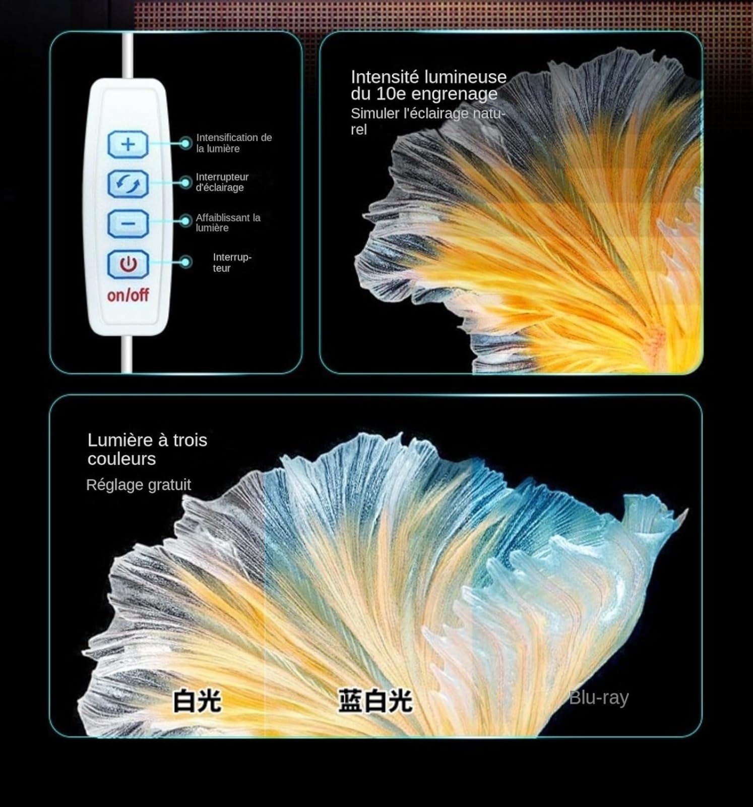 Aquarium, kit habitat per tartarughe con zona multifunzione e filtro acqua completo per tartarughe e animali acquatici, acquario per tartarughe con piattaforma di riposo, scatola di osservazione per