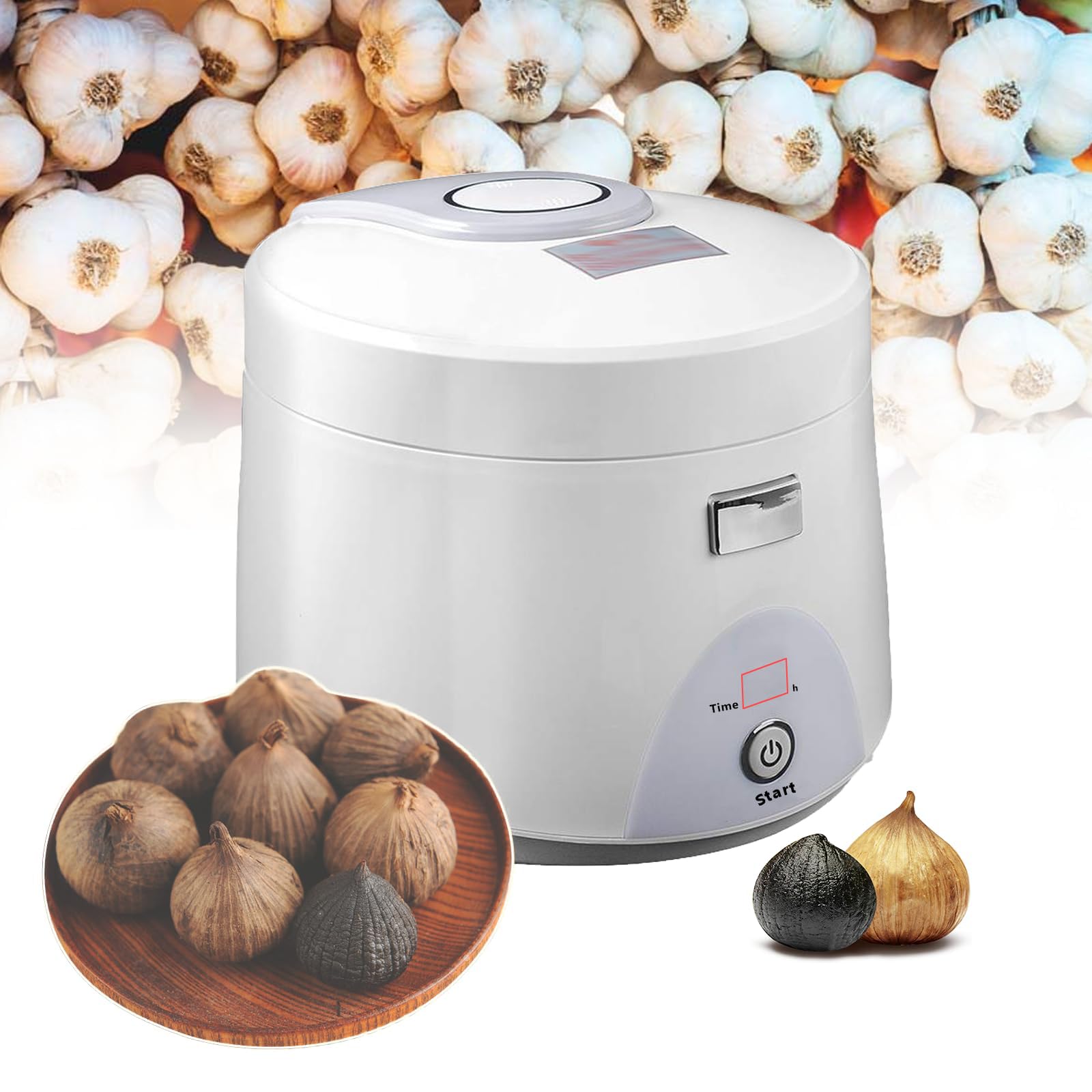 Fermenteur d'ail noir automatique intelligent 5L pour cuiseur DIY