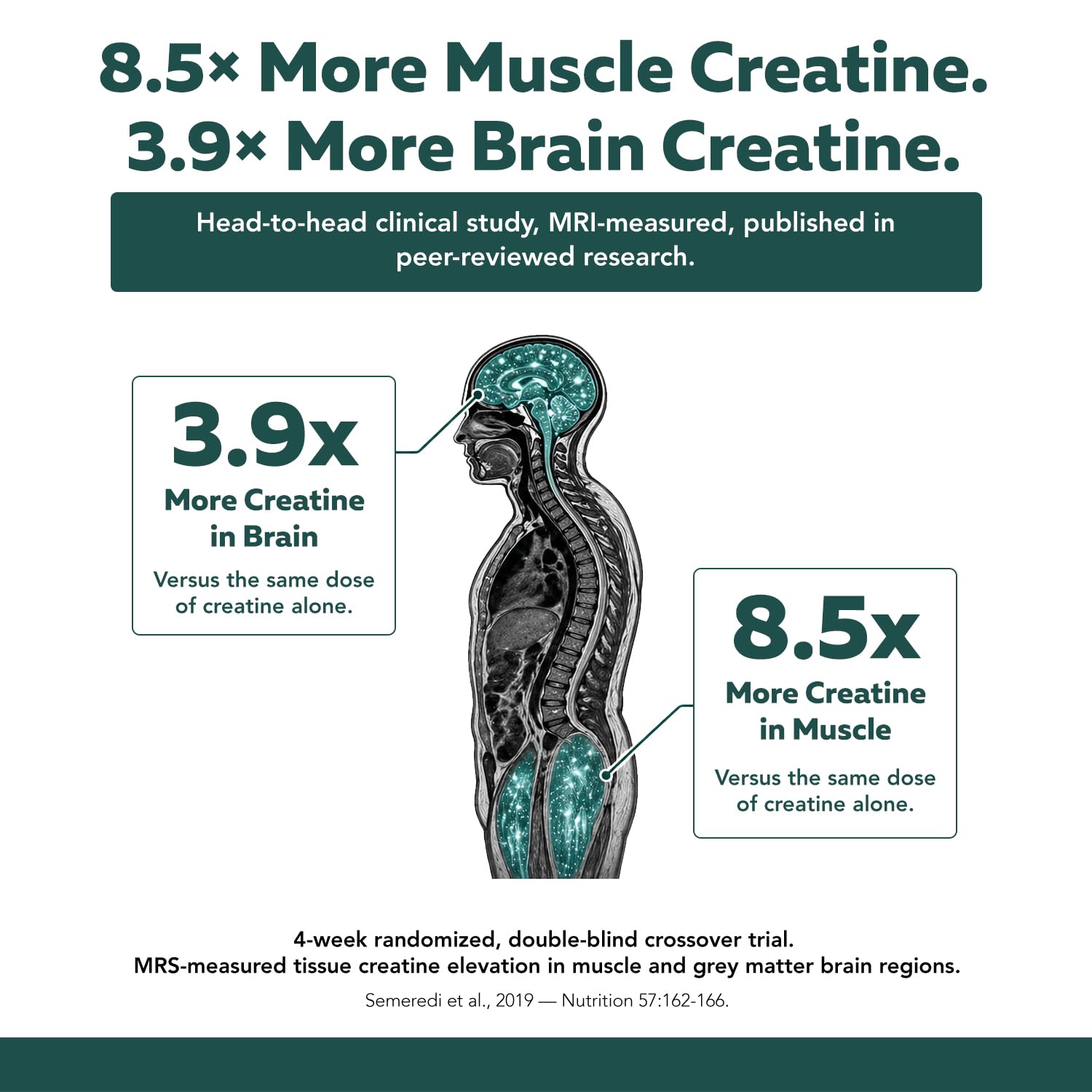 Creatine Reserve™ - Creatine Monohydrate Powder + GAA, Black Cherry Flavor — Amazon image 5