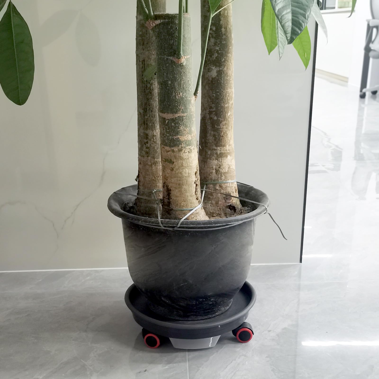 Lot de 2 bacs à plantes avec roulettes, capacité de charge de 36,3 kg, support de plantes de 30 cm, chariot robuste avec réservoir d'eau (gris foncé)