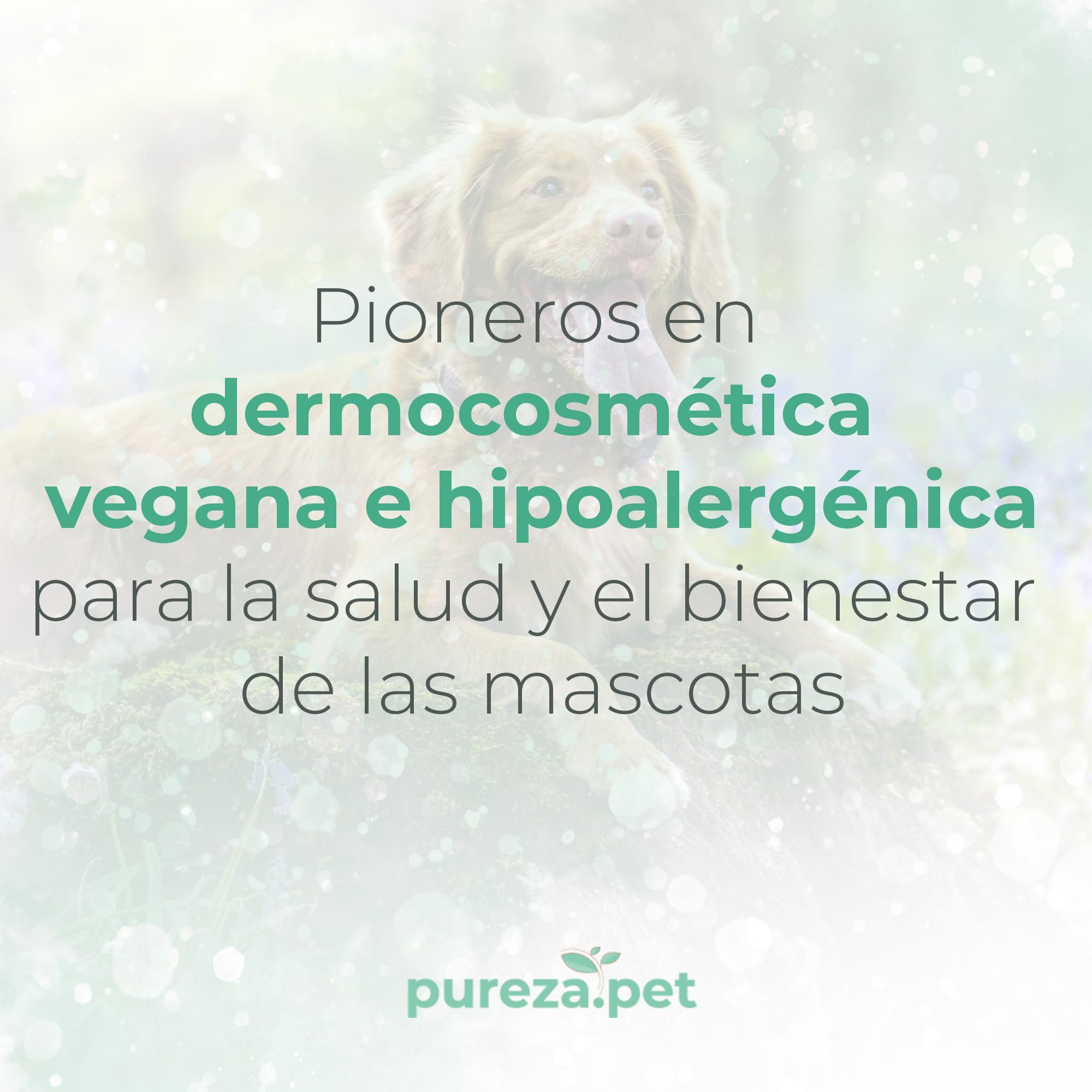 PUREZA PET Champú Nutrition Pro Hipoalergénico 1L - Línea Profesional - Nutrición y Reestructuración del Pelo de Perros y Gatos - Vegano, Sin Parabenos, Silicona y Sulfatos