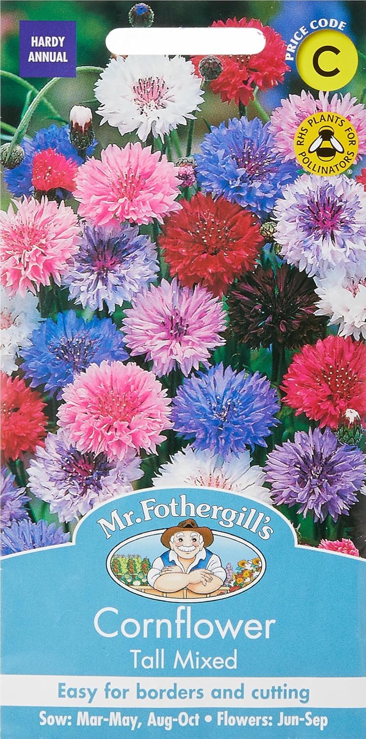 Mr Fothergill?s Seeds Ltd 11051 Mr Fothergill's Cornflower Tall Mixed, 500 Count