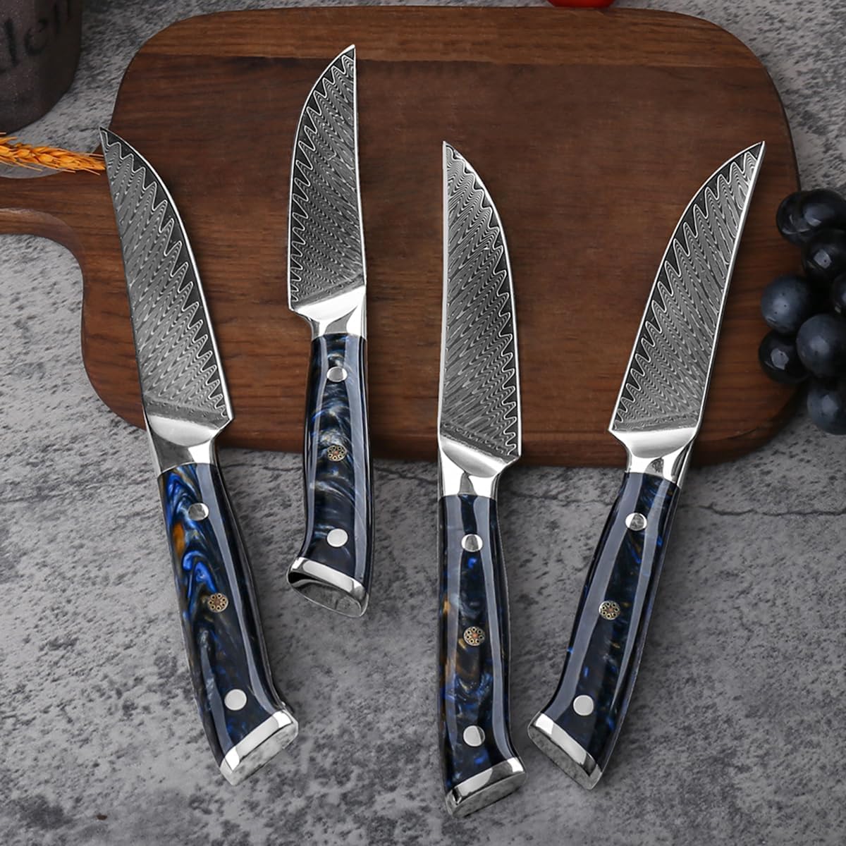 Professional Japanese Steak Knives Set of 4,High Carbon 5 Inch Damascus VG10 Steel Kitchen Steak Knife Set with Black Resin Handles,67 Layers,Sharp Non-Serrated Edge - Exquisite Box,Dishwasher Safe