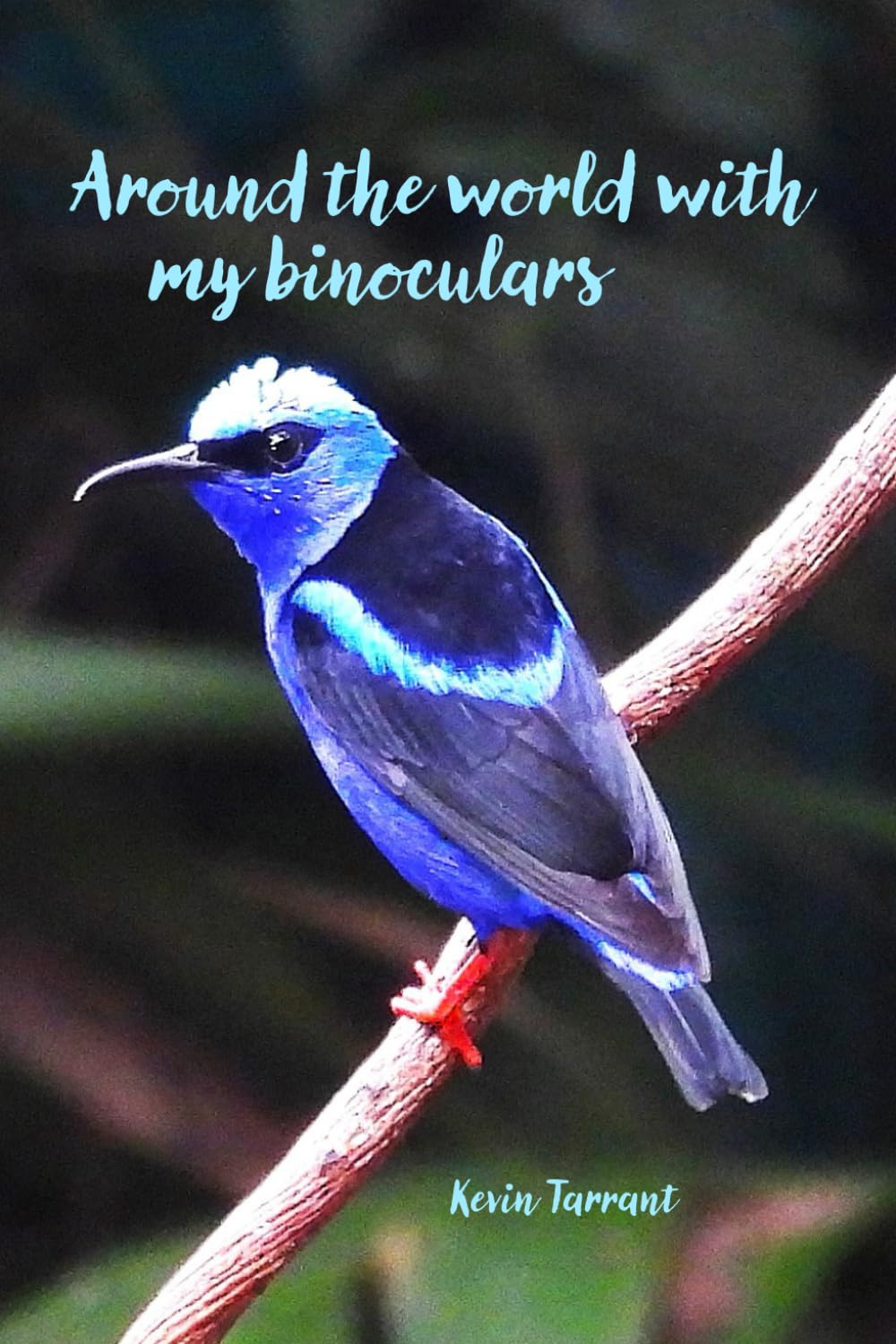 Around the World with my binoculars