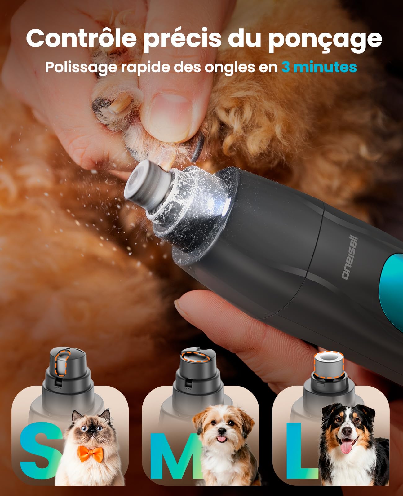 oneisall 4-en-1 Tondeuse pour Chien Professionnelle Sans Fil pour Animaux, Tondeuse à Poil Long Epais avec Lumière LED, Toilettage Rechargeable 2000mAh, Rasoir pour Chien et Pattes (Bleu)