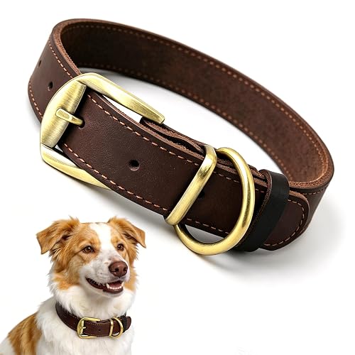 Collar para Perros de Cuero Genuino L (40-52cm) Marrón