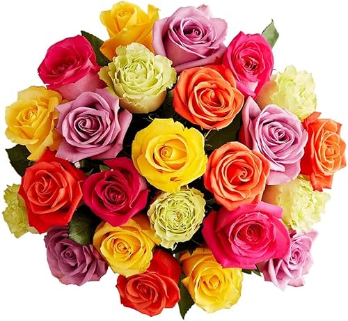 1800 flores  24 tallos surtidos rosas brillantes (solo bouquet)  Flores frescas para entrega  Regalo para cumpleaños, felicitaciones, mejora