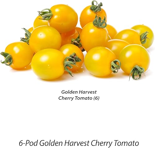 Miniatura 6 de AeroGarden Red Heirloom - Kit de semillas de tomates cherry 6 cápsulas