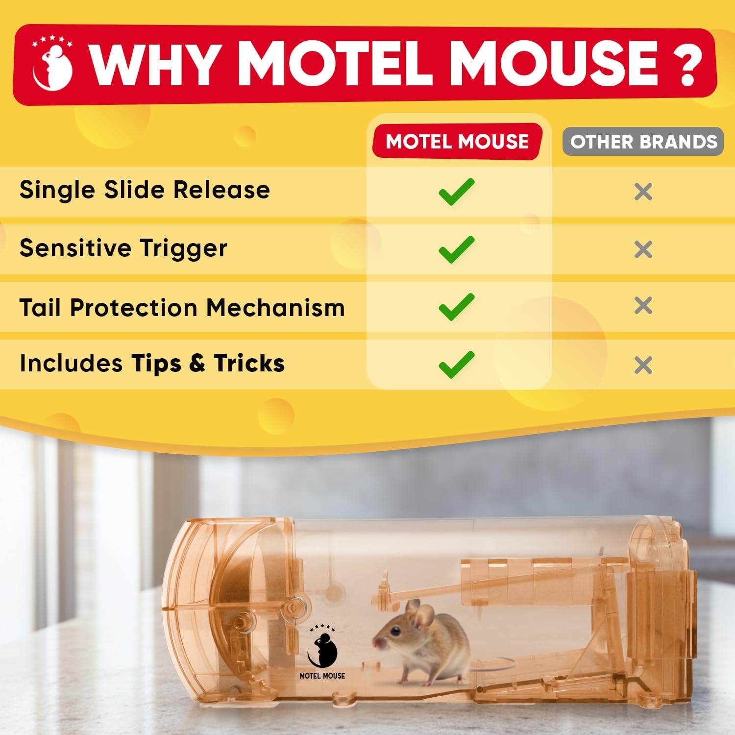 Humane Mouse Traps Indoor for Home Live Mouse Trap Catch and Release Mouse Traps Indoor Humane No Kill Mice Trap for House Indoor Reusable Mousetrap Trap Rat Trap Rodent Trap Alternative to Bucket