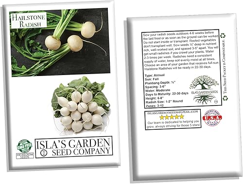 Miniatura 7 de Semillas de rábano Hailstone, más de 250 semillas de reliquia, semillas de jardín (semillas de jardín de isla), semillas sin OMG, nombre botánico