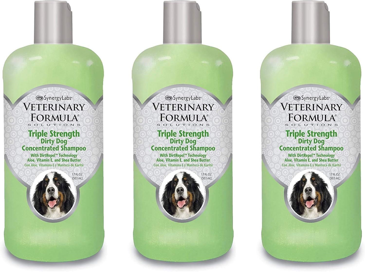 smelly dog solutions