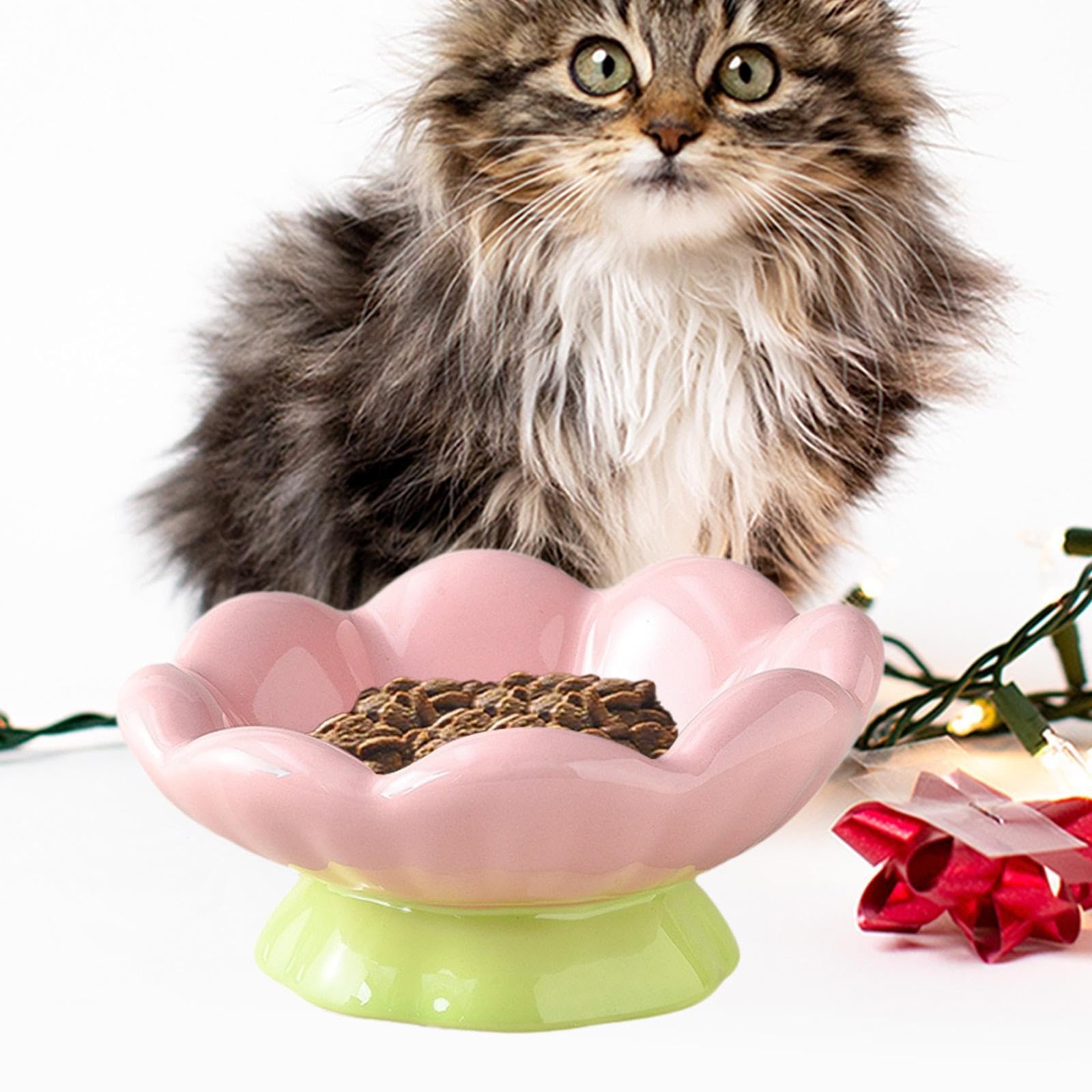 Bothyi Pet Bowl Food Dish Shallow Wide Tulip Shape Feeding Supply Sturdy Food Feeding Cute Feeder Dog Cat Bowl for Medium Puppy Dog, Shallow Bowl