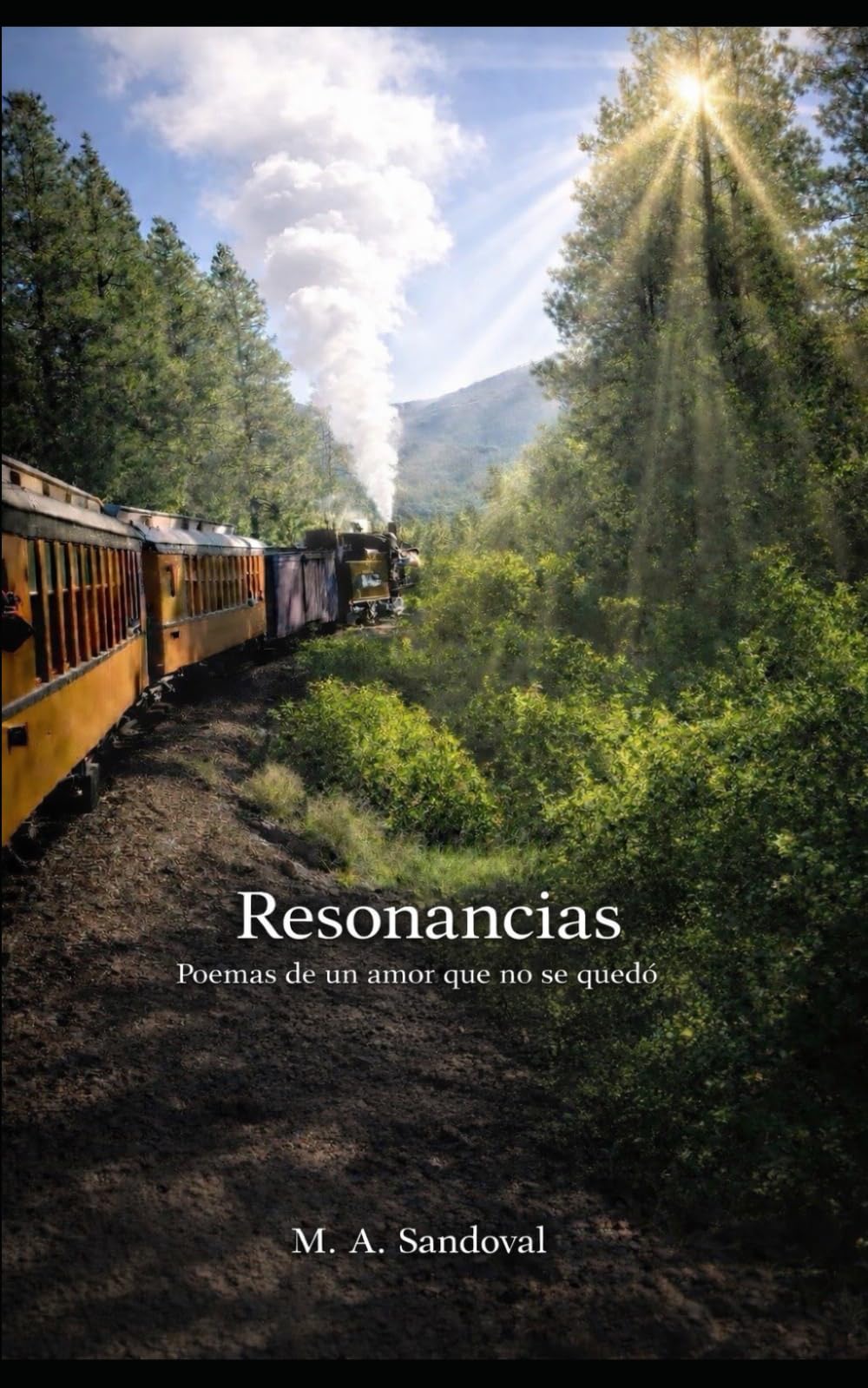 Resonancias: Poemas de un amor que no se quedó