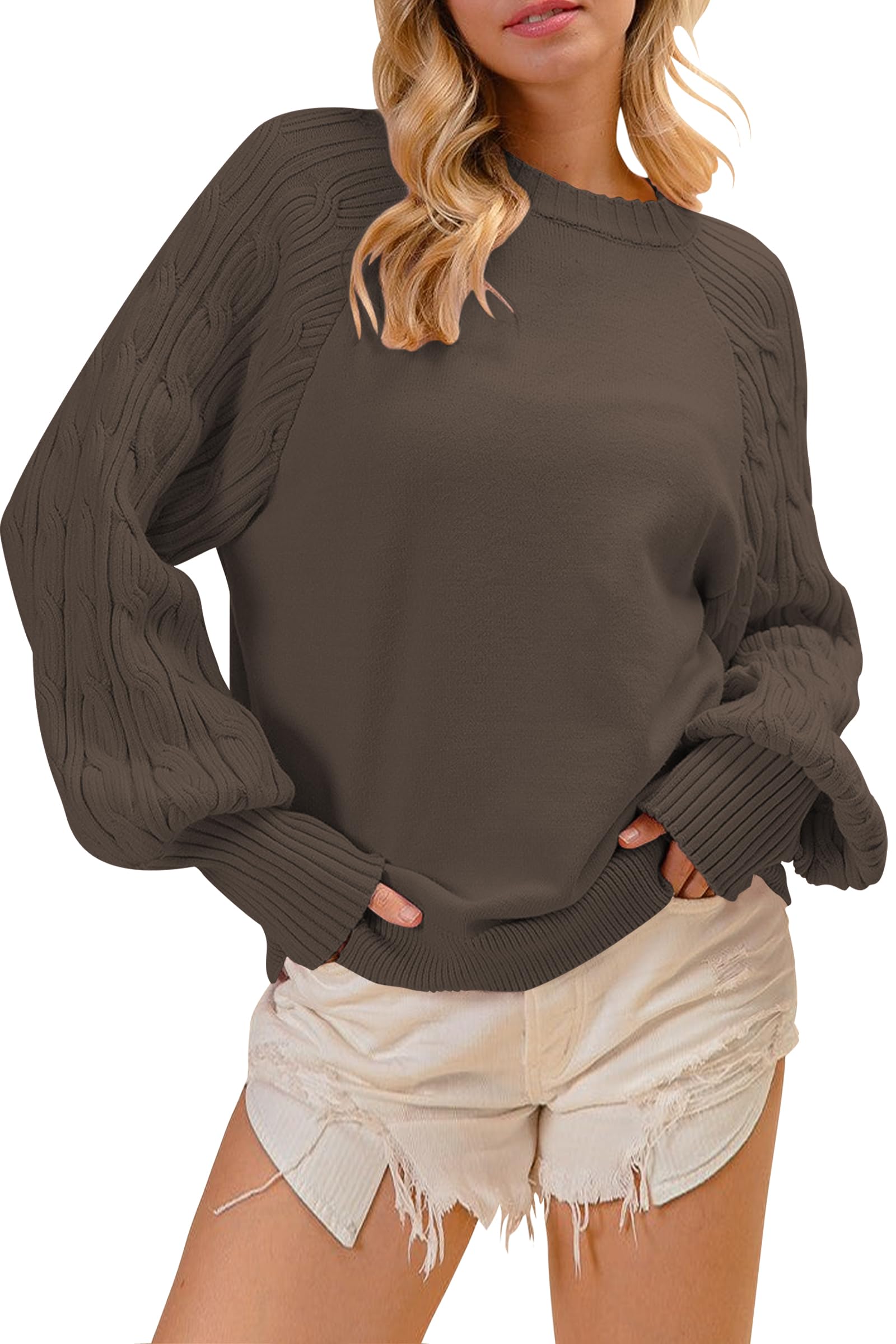 Cakulo Womens Fall Pullover Sweaters Chunky Cable Knit Sweater Lantern Sleeve Crewneck Fashion Knitted Tops 2025