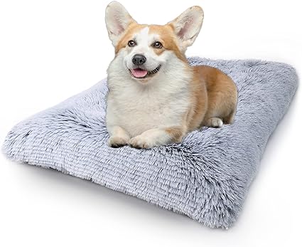 dog crate pad amazon