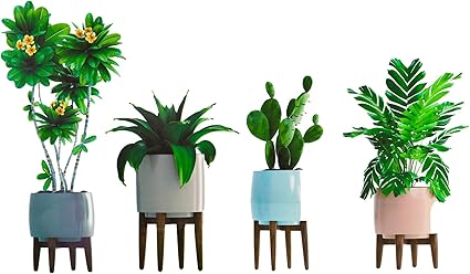 Amazon Co Jp Maydahui ウォールステッカー 植物 鉢植え サボテン ヤシの葉 花 椅子ラック おしゃれ 壁紙 シール 壁飾り ステッカー 剥がせる ウォールペーパー 子供 部屋 部屋飾り 玄関 居間 シール式 ポスター かわいい アート ウォールデコ ウォール 装飾 Diy