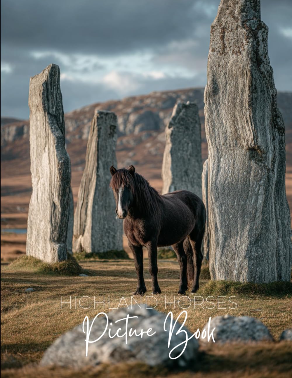 Highland Horses Picture Book: A Photographic Journey Through Scotland's Majestic Ponies, Misty Glens, and Ancient Highlands