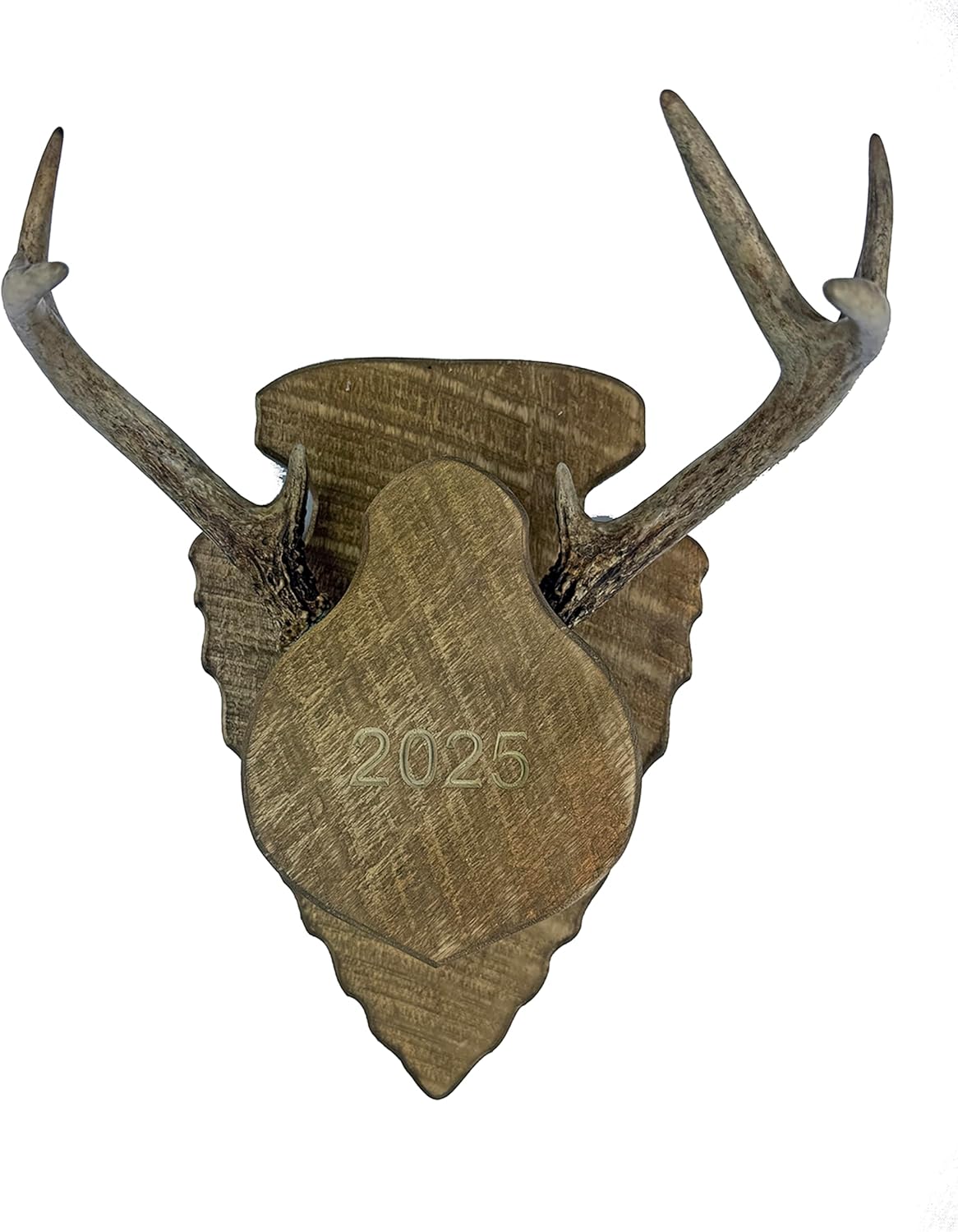 Barnwood Deer Antler / Horn Mounting Kit - Custom & Personalized Plaque / Mount - Includes Everything You Need!