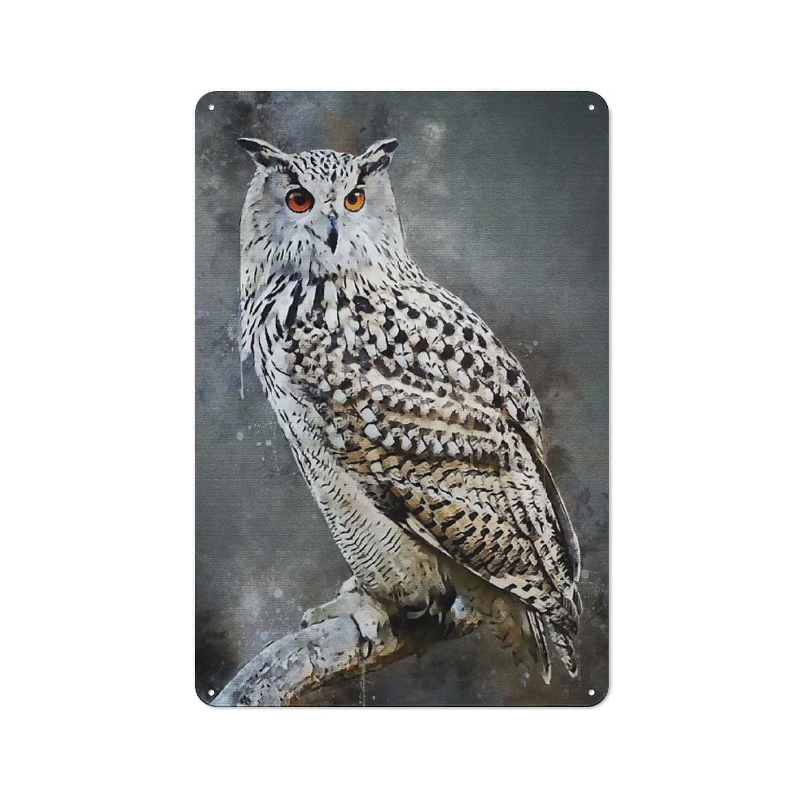 Junmoney Style-12 Owl Watercolor New Printed Metal Sign, Clean Printed Wall Decor For City Themed Room, Study Or Gallery Wall, 30X20cm