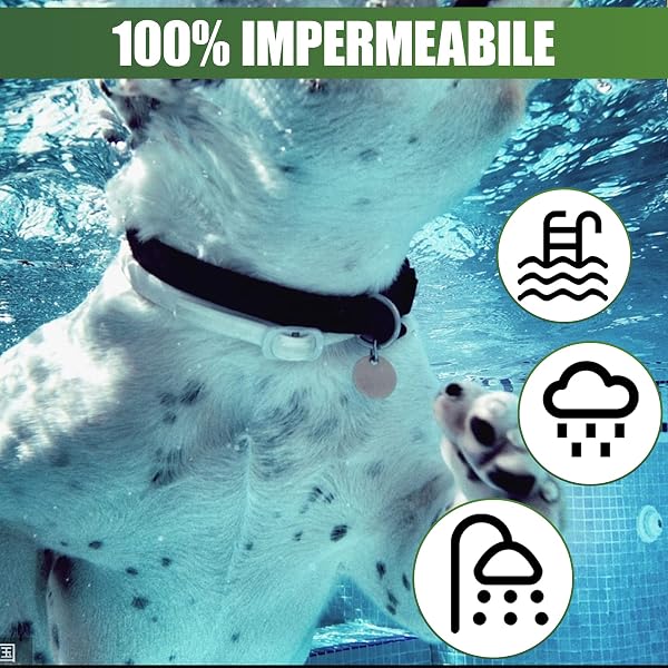 Collare Antipulci e Zecche per Tutti i Tipi di Cani, Regolabile Impermeabile, Antiparassitario, 8 Mesi di Efficacia Protezione, 63cm Taglia Unica (2pack) - 4