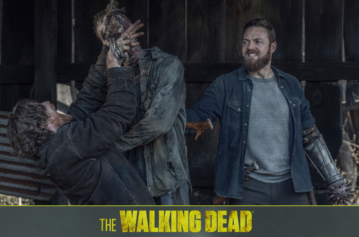 The Walking Dead - Staffel 11