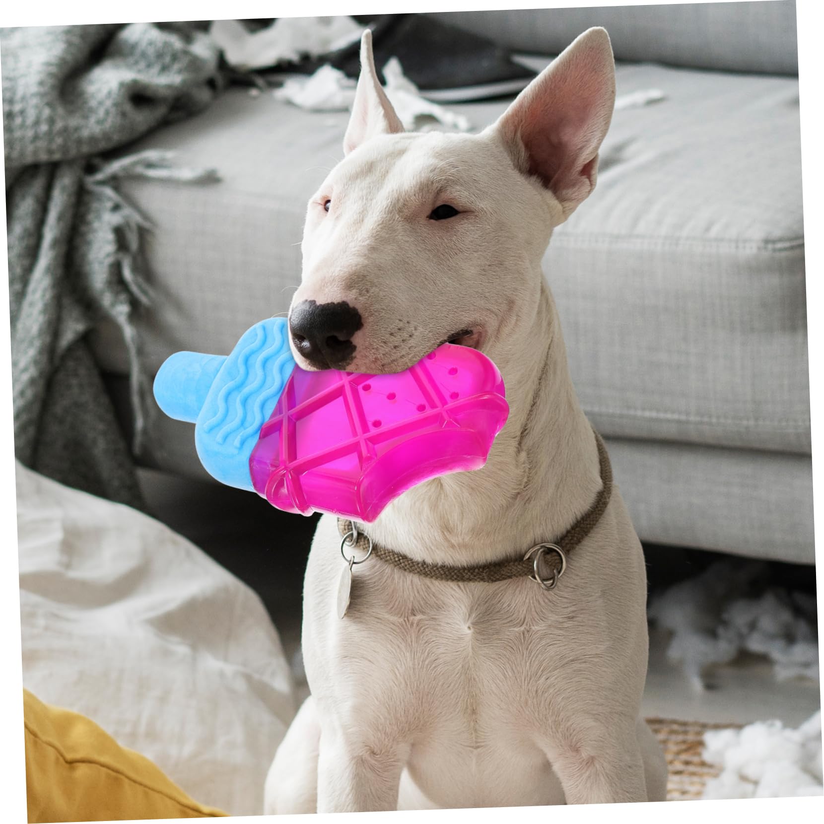 Toddmomy 5pièces Jouet à Mâcher pour Chiots Réfrigérable Accessoire De Détente Rafraîchissement pour Chiens Parfait pour Gencives Et