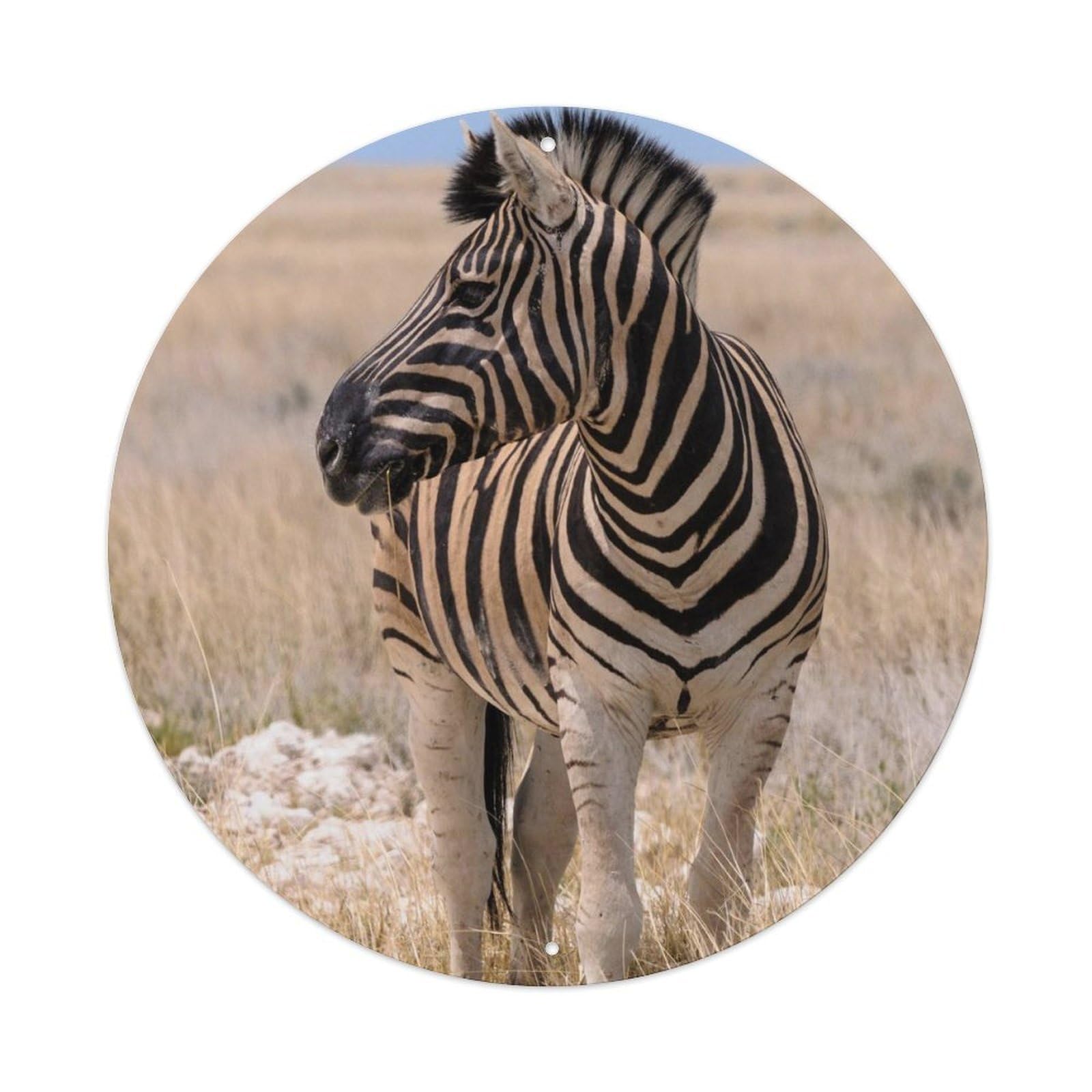 Wildlife Artwork Zebra on The Savannah Metal Tin Sign