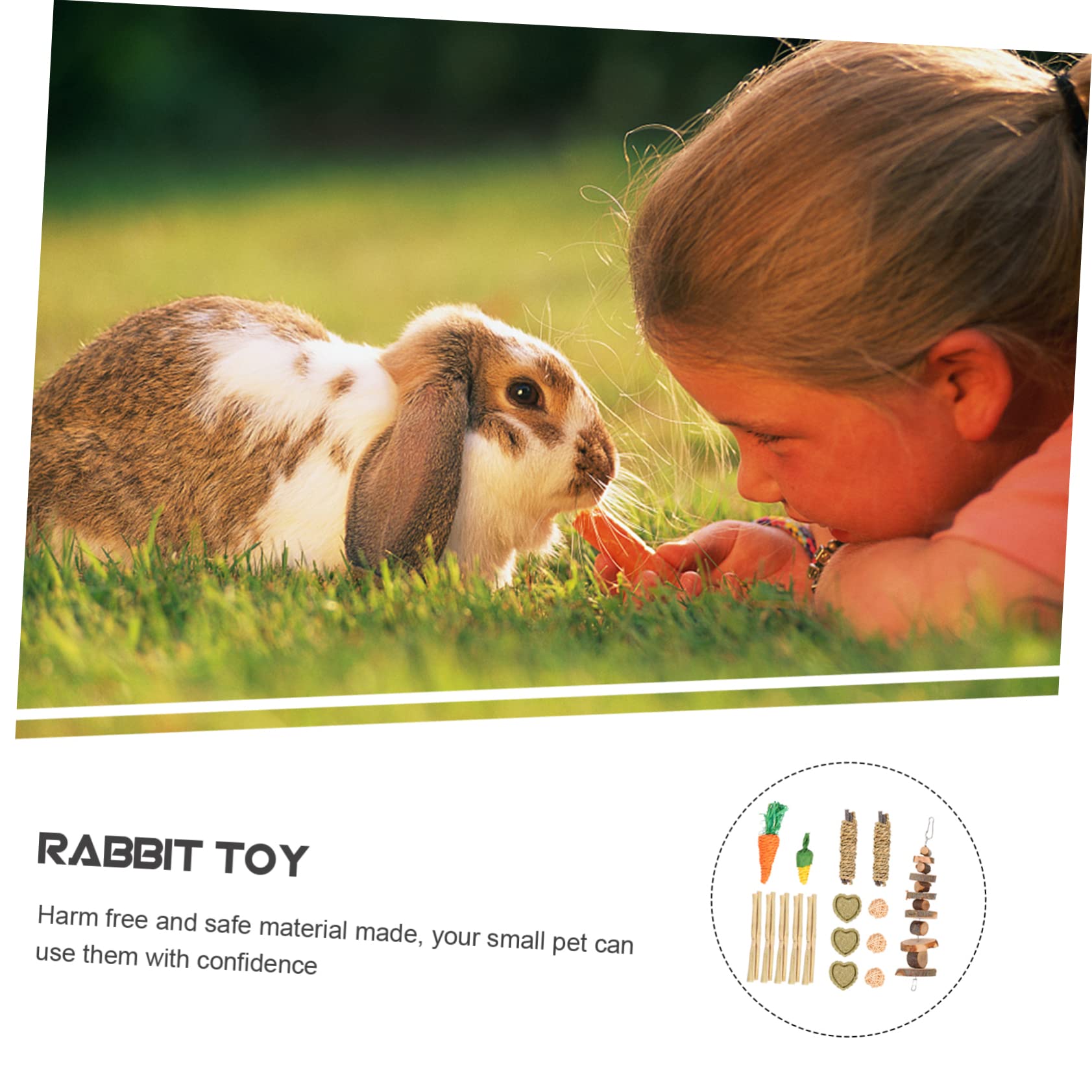 minkissy 2sätze Kleintier Spielzeugset Aus Holz Für Hamster Und Meerschweinchen Teiliges Kauspielzeug Mit Naturmaterialien Fördert Zahngesundheit Und Beschäftigung Für Kleine Haustiere