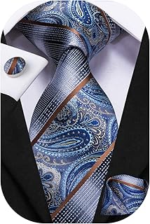 Dubulle Blue Ties for Men with Pocket Square Blue Paisely Necktie Set and Hanky